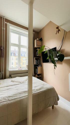 Apartmentincopenhagen Apartment 1497