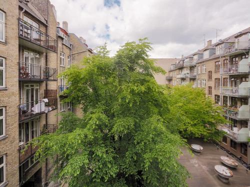 Authentic Danish Apartment In Trendy Vesterbro