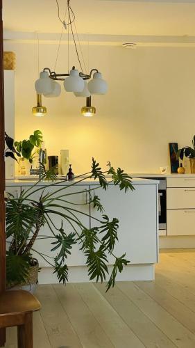 Apartmentincopenhagen Apartment 1499