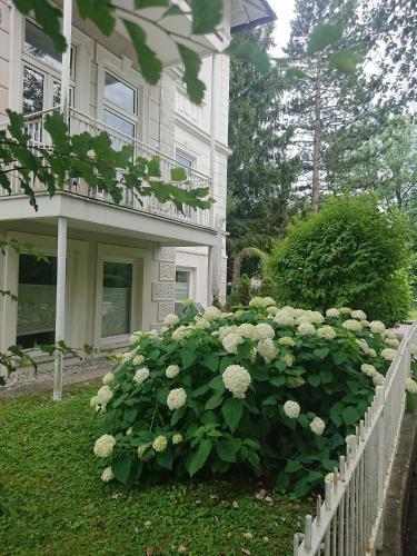 Apartamento Ferienwohnung Barbarossa