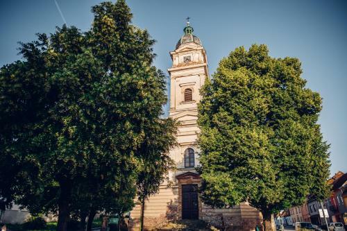 Apartm�n Vina?stv� Do?kal - Sklep U Barborky