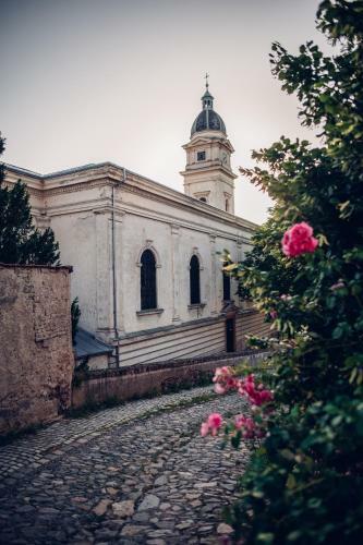 Apartm�n Vina?stv� Do?kal - Sklep U Barborky