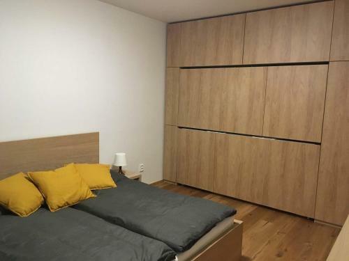 Apartm�n U Sjezdovky
