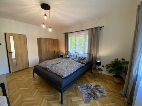 Panda Apartm�n Fr�d?tejn