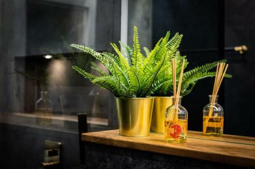 Pinska Paradise Apartment