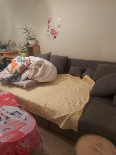 Apartamento Rohu 107-52 Korter ��rile Anda