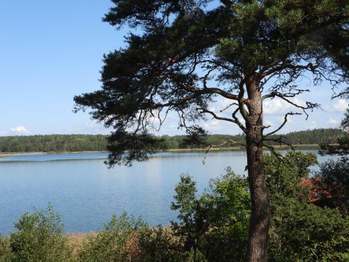 Uttis Home Cottages & Camping