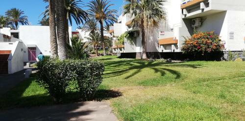 Apartamento Dos Dormitorios En Primavera Totalmente Reformado