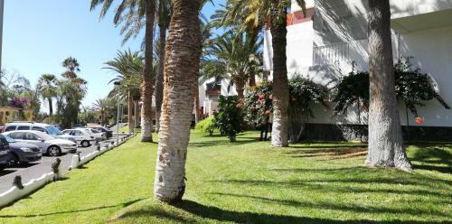 Apartamento Dos Dormitorios En Primavera Totalmente Reformado