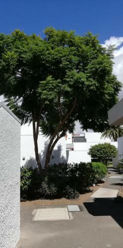 Apartamento Dos Dormitorios En Primavera Totalmente Reformado