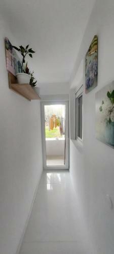 Apartamento Dos Dormitorios En Primavera Totalmente Reformado