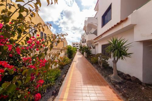 Apartamento El Sue�o De Tenerife