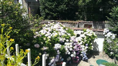 Bed & Breakfast La Maison De Claire