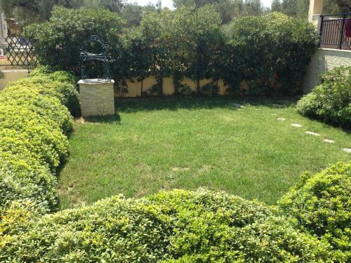 Apartamento Muses Zante Villas