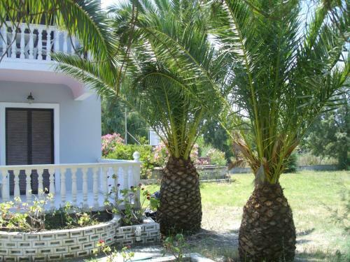 Hostal Babis Studios