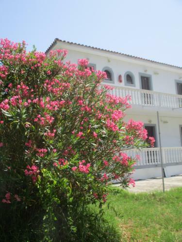 Hostal Babis Studios