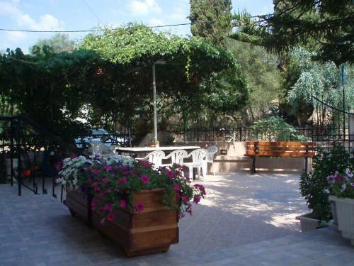 Apartamento Villa Xenos