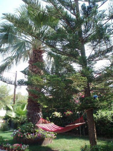 Apartamento Villa Xenos