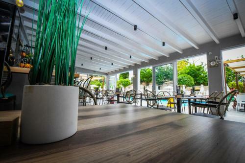 Kalamaki Zakynthos Apartments