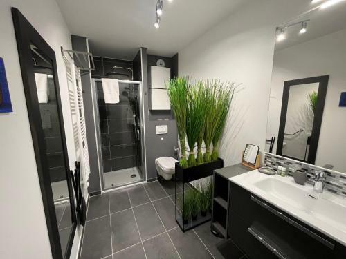Apartamentos Lake Home