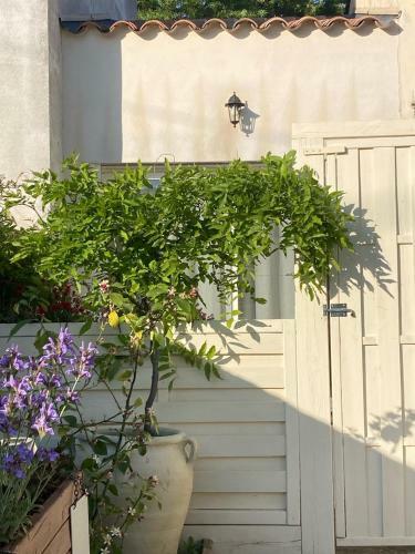 Apartamento L?annexe
