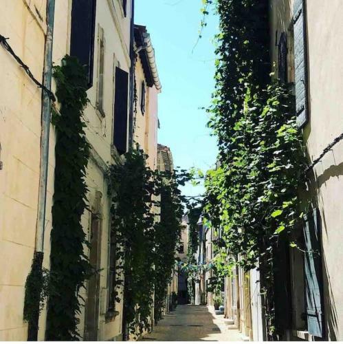 Apartamento Cocon Au Pied Des Ar�nes D'arles