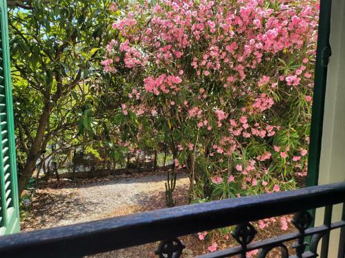 Apartamento T3 Villa Waller Le Charme De L'ancien
