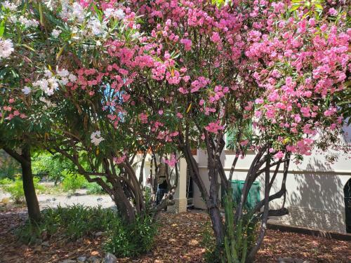 Apartamento T3 Villa Waller Le Charme De L'ancien