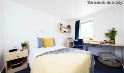 Hostal Bright Rooms For Students Only - Bedford, Sk