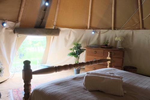 Gumtree Tipis