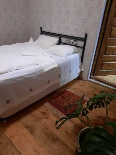 Bed & Breakfast Plantacia