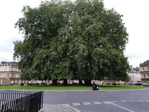Royal Crescent Courtyard Apartment