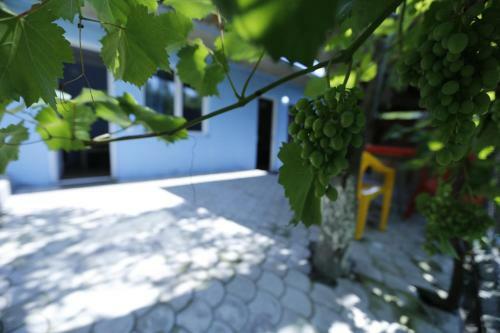 Hostal Lilia Guesthouse