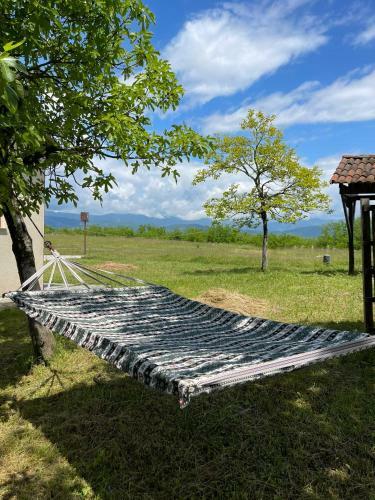 Lodge Tskaltubo Village - Nature Resort