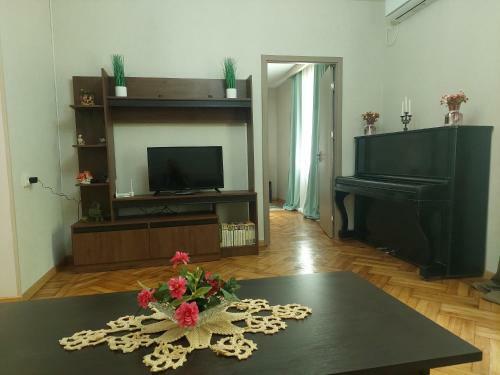 V Apartment