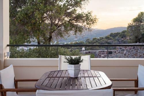 Aphaia Villa Aegina