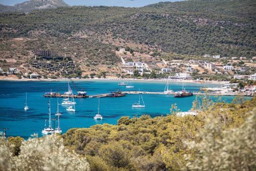 Aphaia Villa Aegina