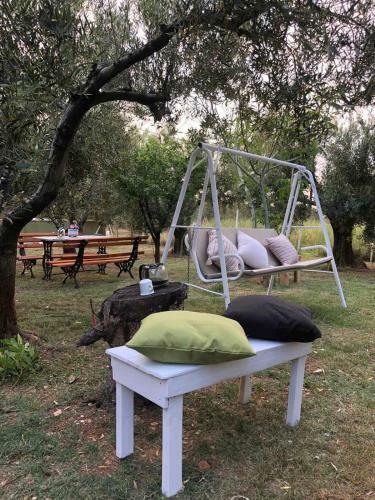 Green Olive Studios 3