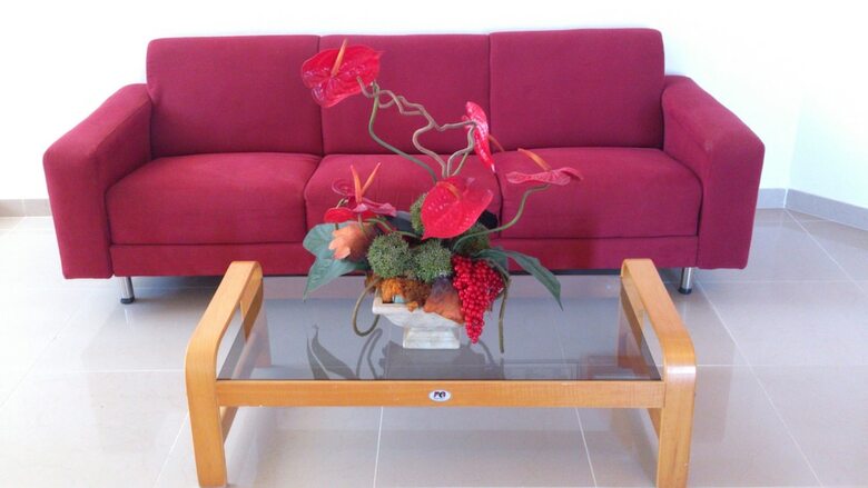 Aparthotel Nereida
