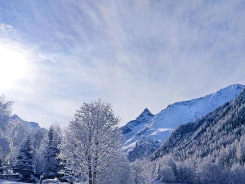Holiday Home Coeur Du Paradis Peiseyvallandry