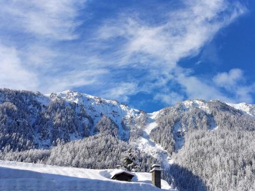 Holiday Home Coeur Du Paradis Peiseyvallandry