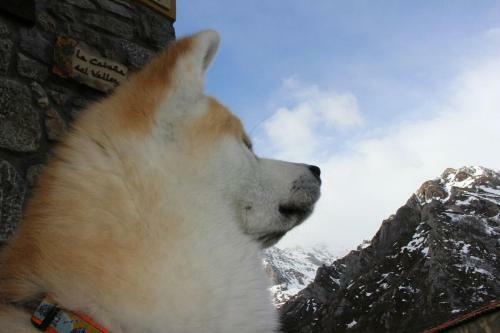 Casa Rural La Caba�a Del Valleyu
