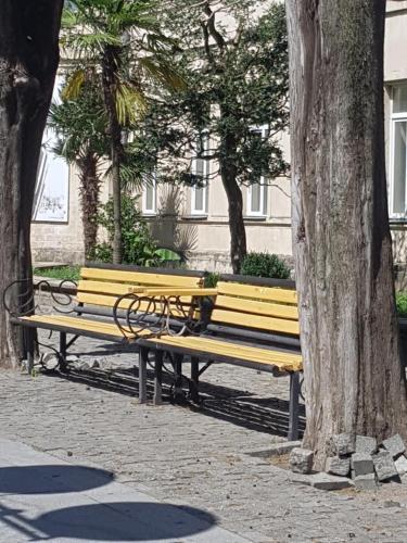 Apartamento ???????????