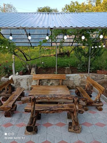 Zaza House