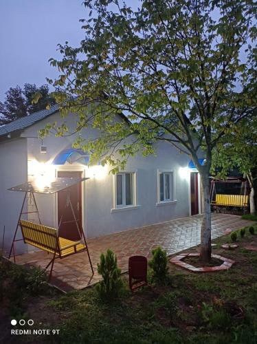 Zaza House