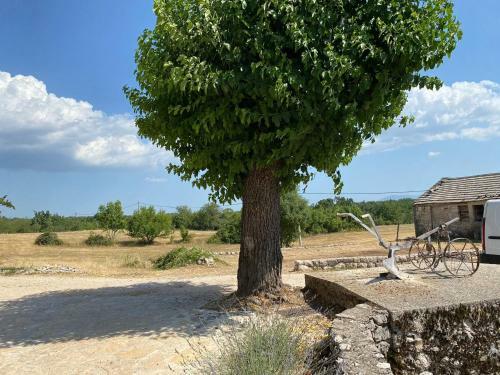 Holiday Home Mislav