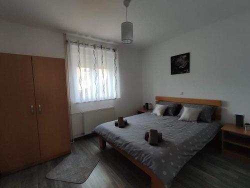 Apartment Msn