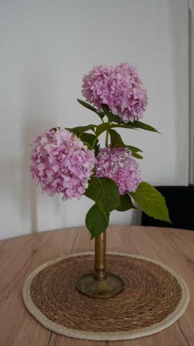 Apartmani Tripalo