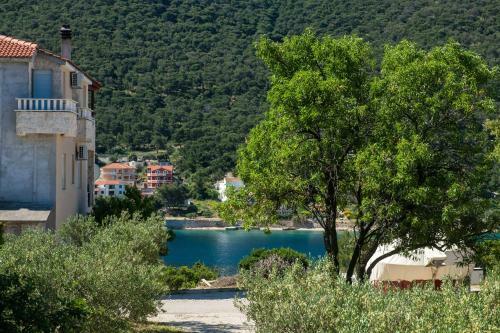 Apartments Vita Niko