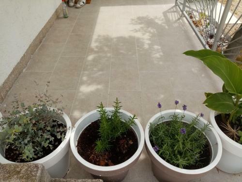 Apartamento Kod Jakova